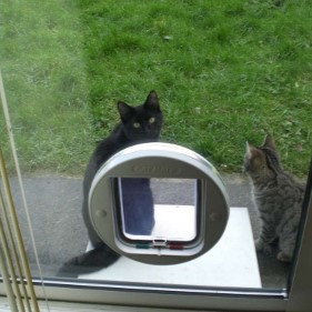 Cat flaps installed in Patio Doors