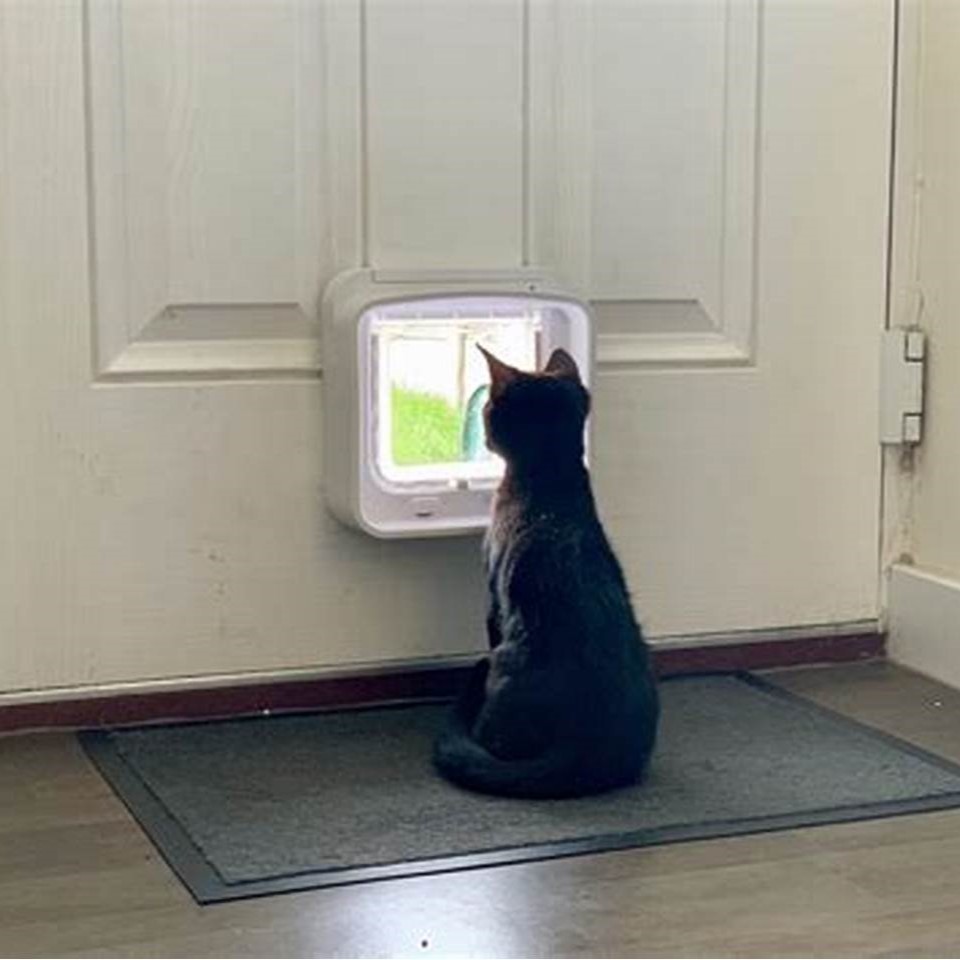 Catflaps installation in glass 